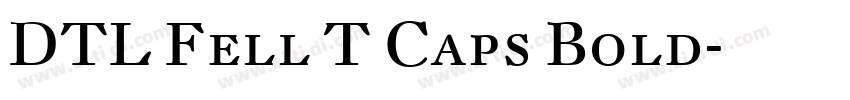 DTL Fell T Caps Bold字体转换